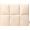 Puffy Laptop Sleeve